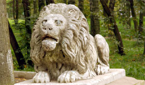The sculpture of lion