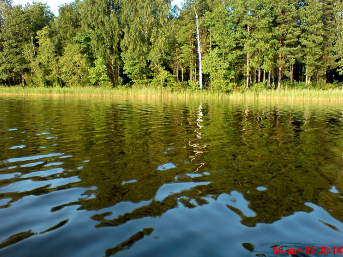 Озеро Рытое Смоленское Поозерье